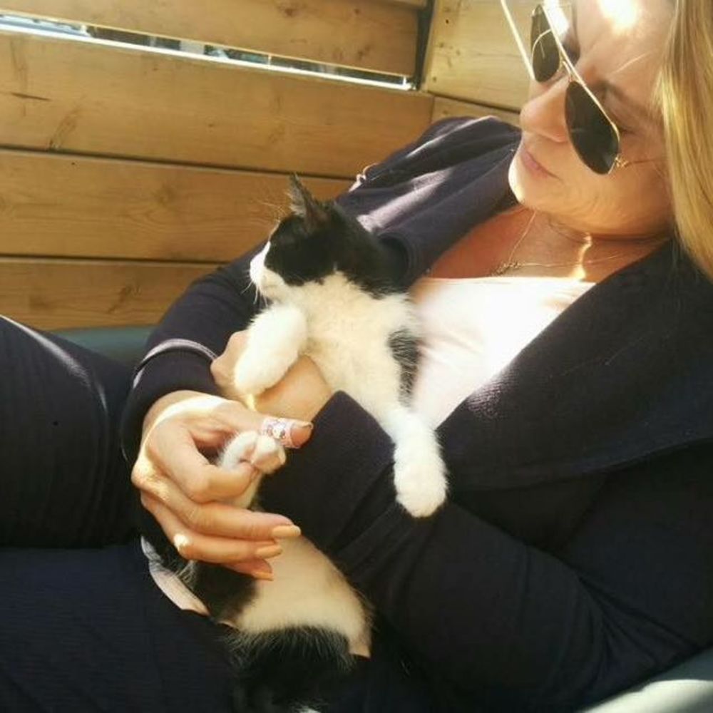 Meet your Posher, Cat